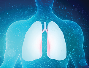 Image of Lungs